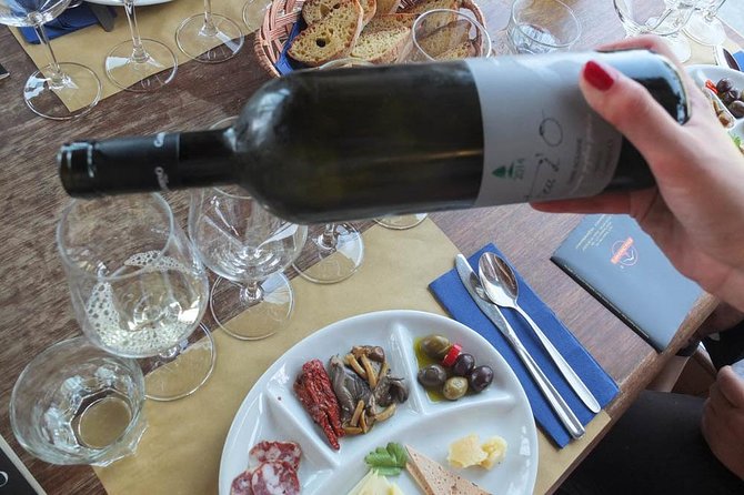 Etna Private tour from Messina Cruise Terminal + Lunch at Winery - Key highlights you will actually feel during the day
