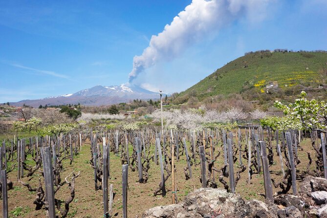 Etna Private tour from Messina Cruise Terminal + Lunch at Winery - Winery lunch on the Etna slope: food, cellars, and 4 wine glasses