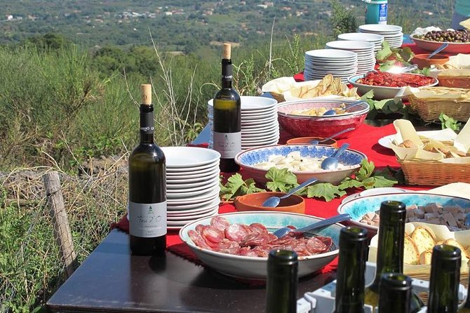 Etna Private tour from Messina Cruise Terminal + Lunch at Winery - Price and value: what $416.86 per person actually covers