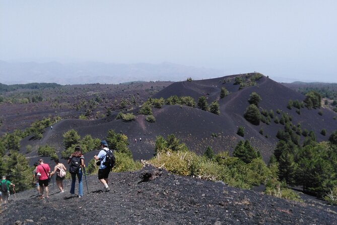 Etna private tour with wine cellar gambino lunch and wine tasting - Monte Vetore crater walk and the bronze Tifeo statue