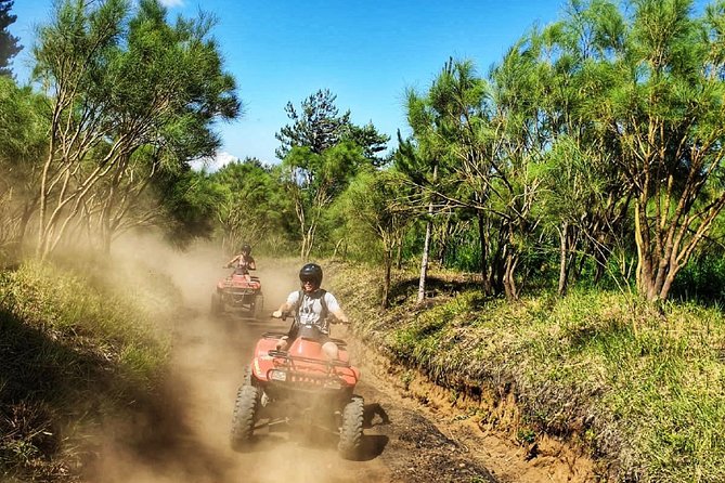 Etna quad tour - half day - Rifugio Ragabo: the pine forest start that sets the tone