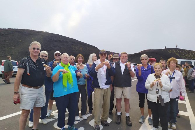 Etna Taormina and Castelmola The best excursion for cruise passengers from Messina - Pickup, private comfort, and how the day flows