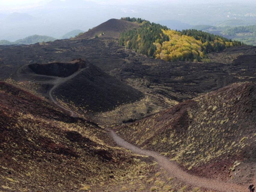 Etna Tour by Panoramic Bus - Etna Sud around 1900m: a viewpoint with eruption context
