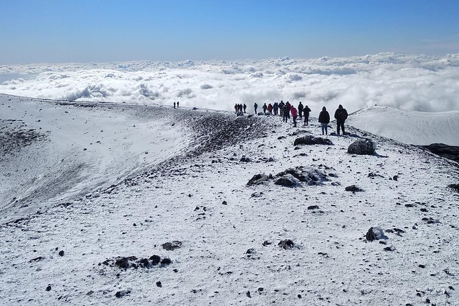 Etna Tour - HalfDay Small Group & licensed Tour Guide - Farm tasting after Etna: why the food stop is more than a snack