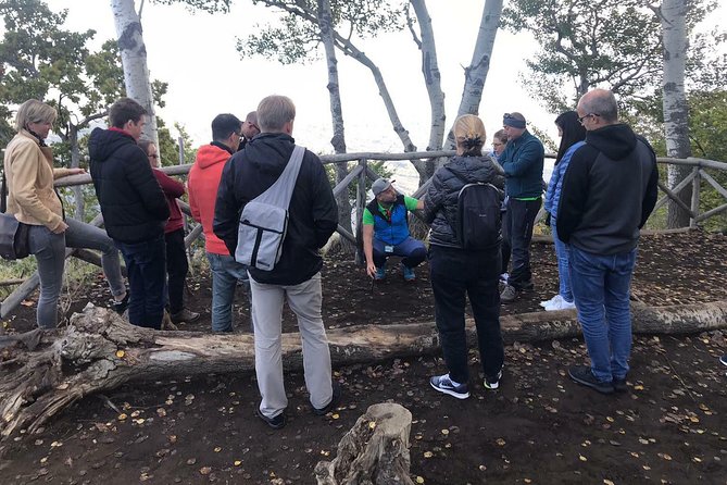 Etna Tour - HalfDay Small Group & licensed Tour Guide - Price and value: what makes $90.74 feel fair