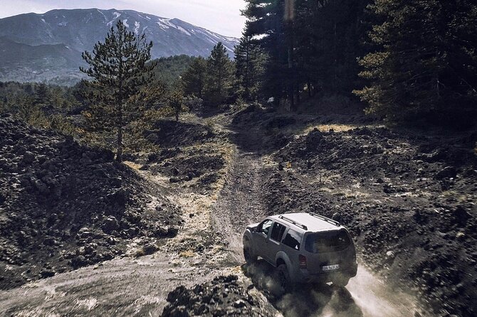 Etna Tour in 4x4 - A 4x4 Etna half-day that starts at MontataGrande