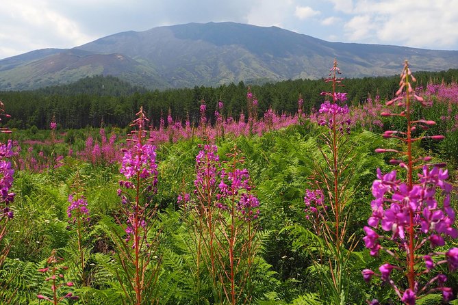 Etna Tour in 4x4 - MontataGrande farm tasting: Etna products and Sicilian favorites