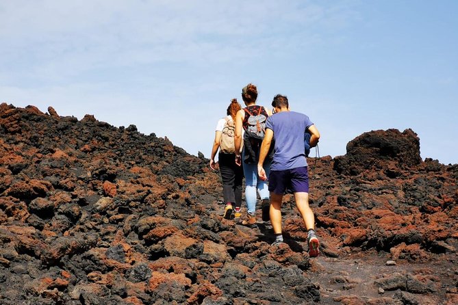 Etna trekking and wine tasting - Price and value: what your $186.74 really covers