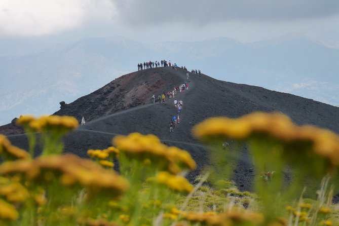 ETNA - Trekking to the Craters Eruption of 2002 - What you see along the way: lava, beech, and larch pine woods
