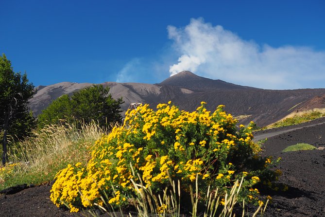 ETNA - Trekking to the Craters Eruption of 2002 - English guidance that turns photos into understanding