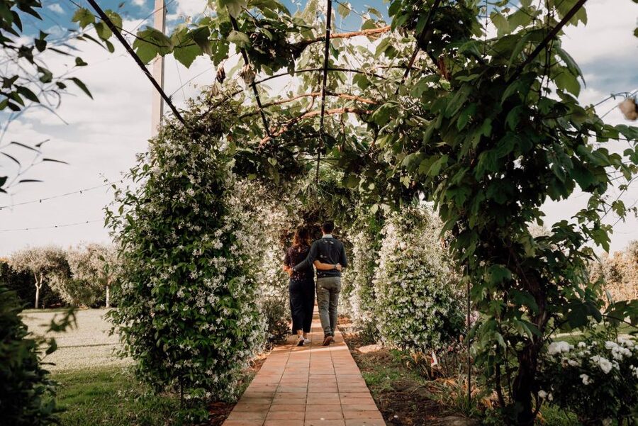 Etna Urban Winery - Tasting, sicilian platter and self tour - Where to relax afterward: courtyard or garden with an Etna view