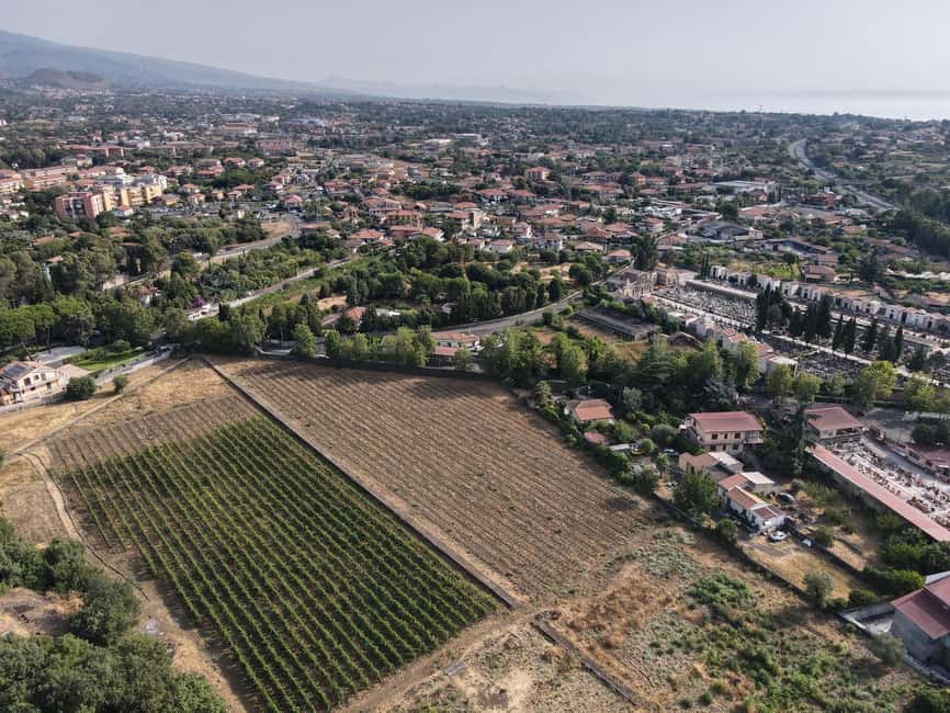 Etna: Urban Winery, Vineyards Walk & Wine Tasting at Sunset - Price and value: what you get for about $81