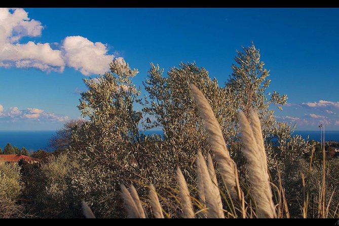 Etna Volcanic Yoga and Meditation Weekend (Private Experience) - Key points before you go