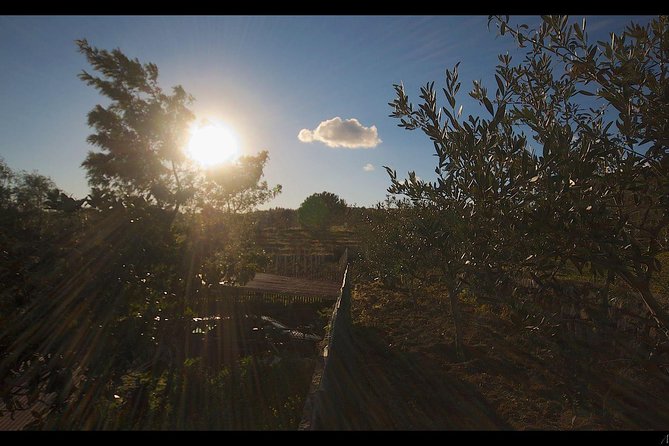 Etna Volcanic Yoga and Meditation Weekend (Private Experience) - The Volcanic Woods and Old Lava Stones: What You’re Actually Paying For