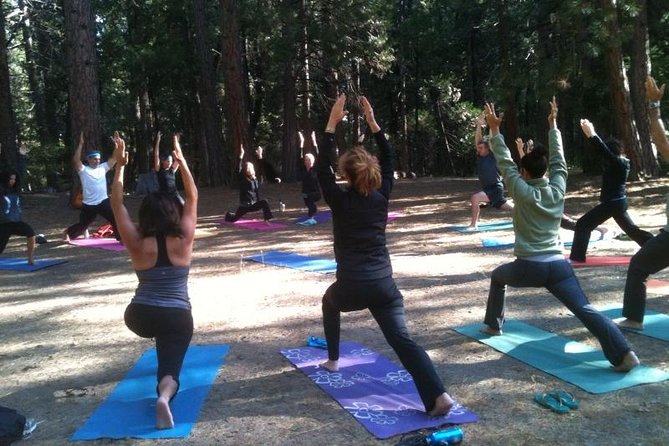 Etna Volcanic Yoga and Meditation Weekend (Private Experience) - Service Level That Makes the Weekend Easier