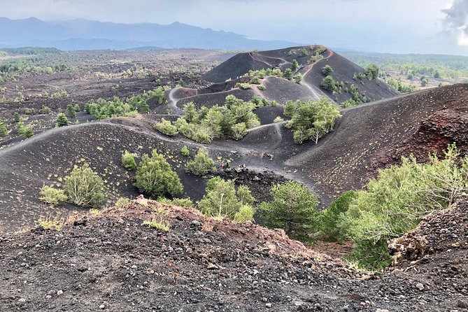 Etna, Wine and Alcantara Tour - From Taormina - From Taormina pickup to a full day on Etna