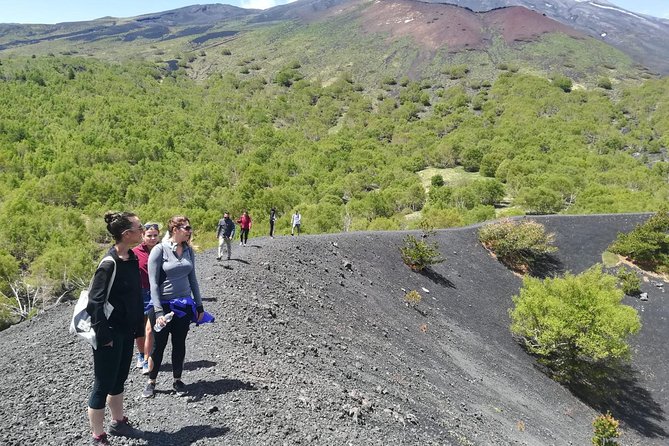 Etna, Wine and Alcantara Tour - From Taormina - The Etna hike: lava, craters, and a cave you can actually see