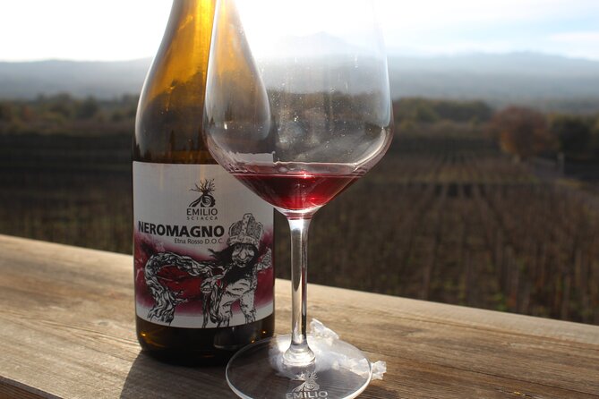 Etna Wine and Alcantara with lunch - Etna and Alcantara from Catania, without the headache