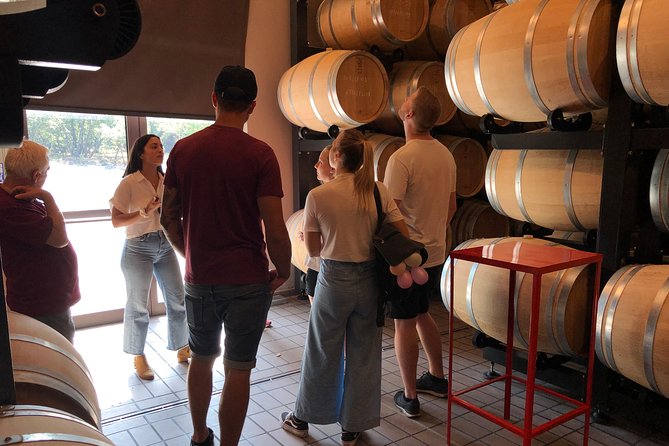 Etna Wine and Food Volcanic Day Tour - Private Experience - From Catania to Etna: how this day actually feels
