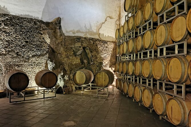 Etna Wine And Taormina From Messina - From Messina Port to Mt. Etna, Without the Stress