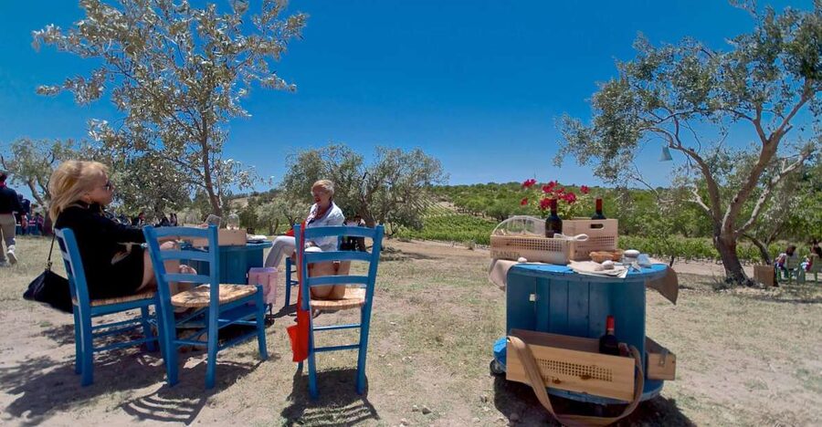 Etna & Wine Private Day Tour - Volcano and wine, in one focused private day