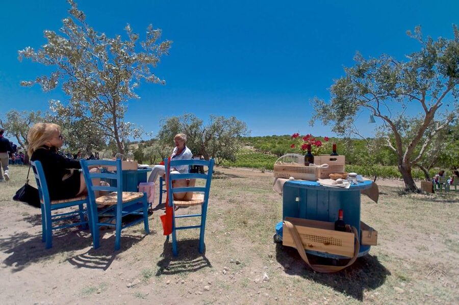 Etna & Wine Private Day Tour - Guided Mt. Etna crater walk and the stop at an older station area