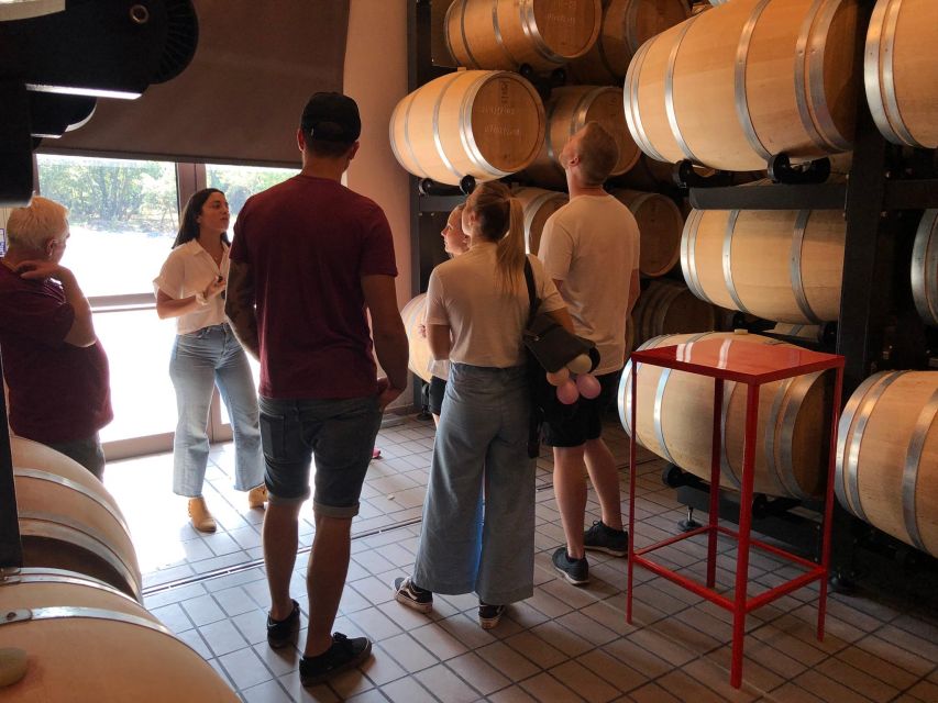 Etna & Wine Private Day Tour - The second drive back down, and the transition to wine country