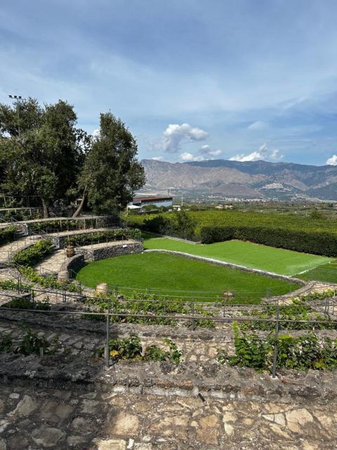 Etna: Wine Tasting and Food Tour - Lunch at the second winery: the pairing is the real meal deal
