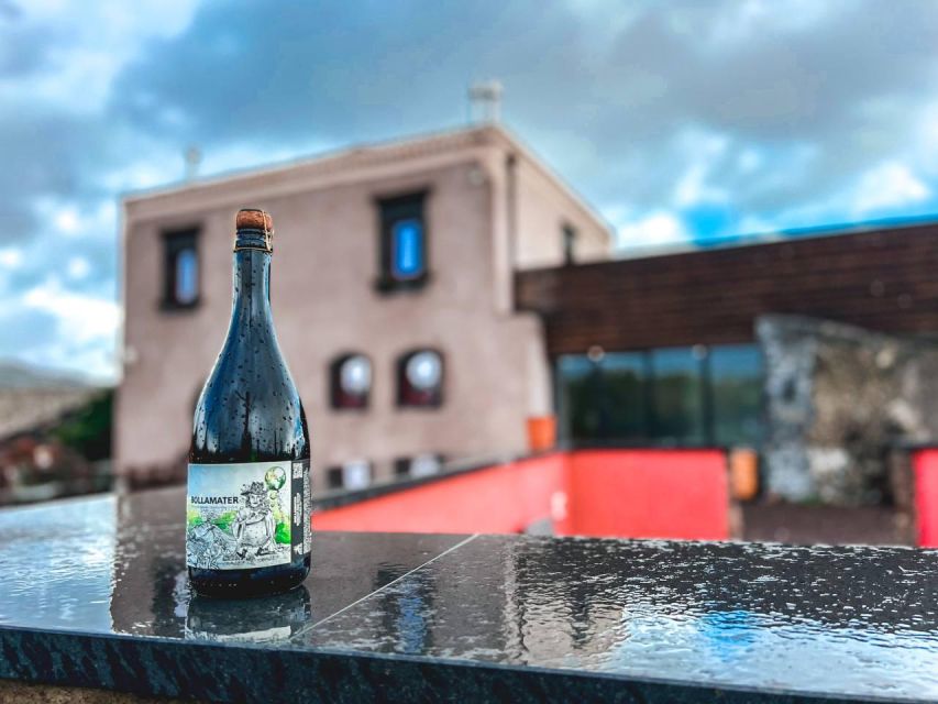 Etna: Wine Tasting and Food Tour - Who this tour is best for