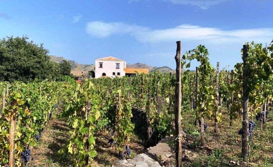 Etna: Wine Tasting and Food Tour - Getting from Catania to Etna: the van ride is part of the point