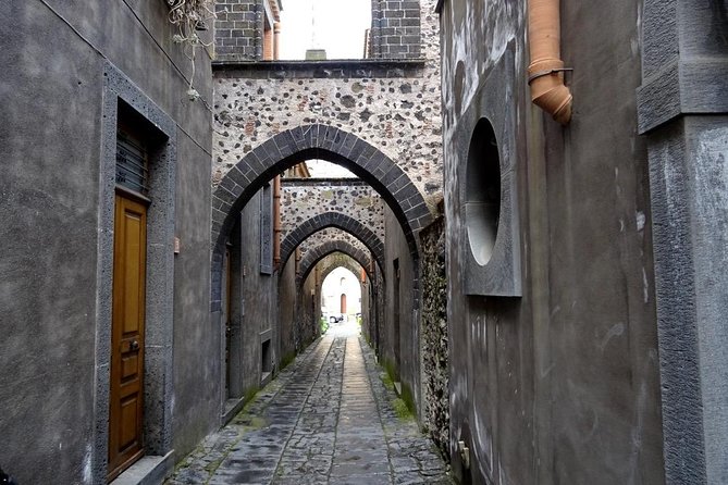Etna Wine Tasting and Train Tour - Who This Etna Tour Fits Best
