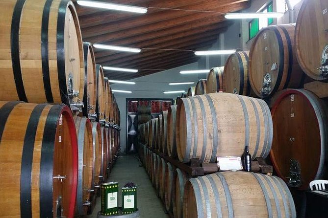 Etna Wine Tasting & Sicilian Lunch –Small Group Tour from Catania - Key Highlights You’ll Actually Notice