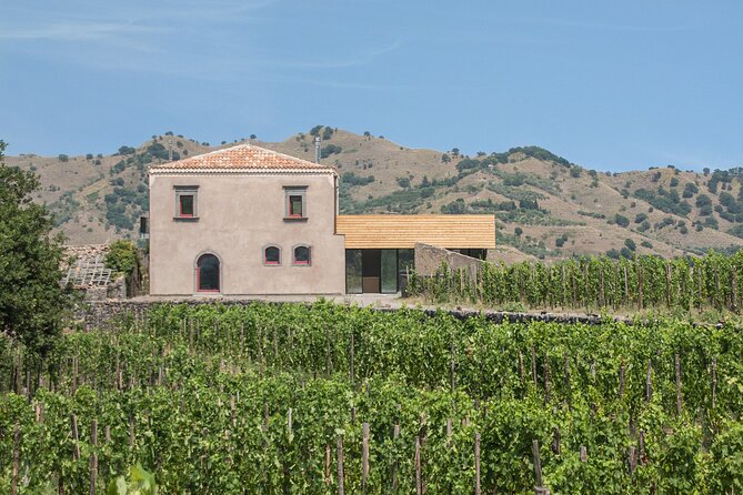 Etna Wine Tasting & Sicilian Lunch –Small Group Tour from Catania - Small Group Size From Catania: Why It Feels Better
