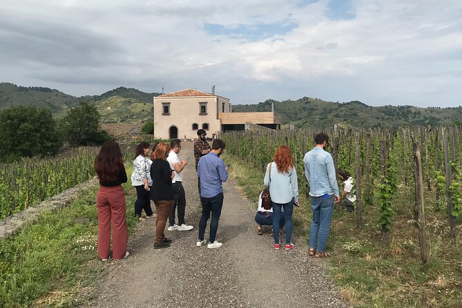 Etna Wineries Tour - Small Groups from Taormina - Two wineries on Etna’s slopes, what the tastings really mean