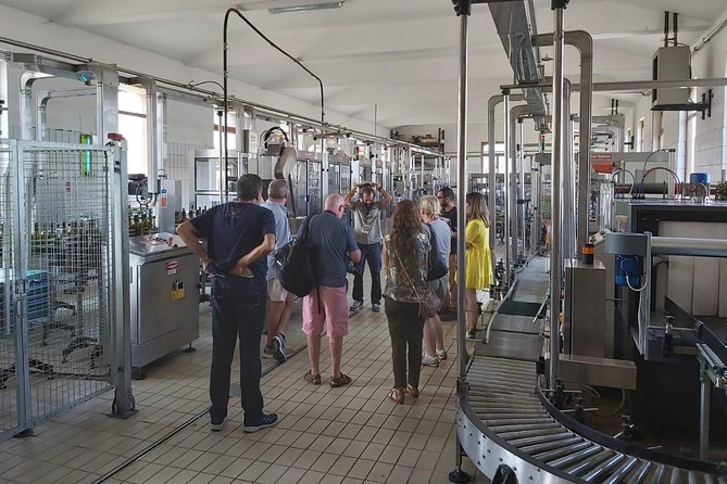 Etna Wineries Tour - Small Groups from Taormina - How the group size and guide style shape your day
