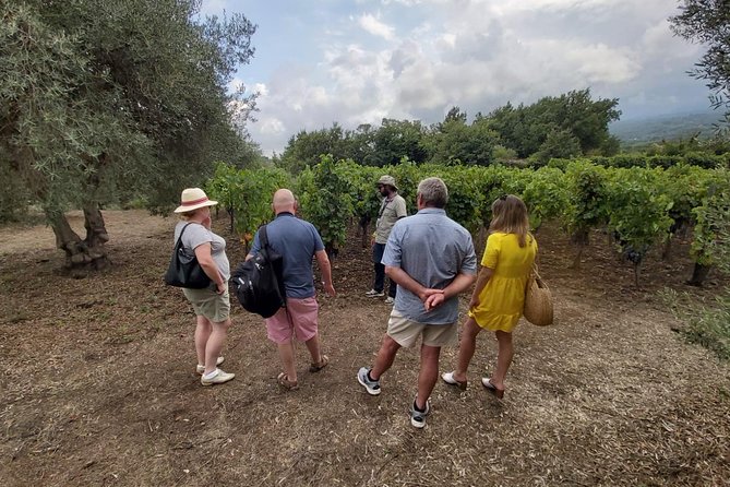 Etna Wineries Tour - Small Groups from Taormina - Lunch at the second cellar, Sicilian plates with wine pairings