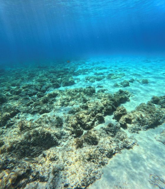 Favignana, Excursions by Dinghy from Marsala - Levanzo: Small Island Energy and Two Cala Names You Can Target