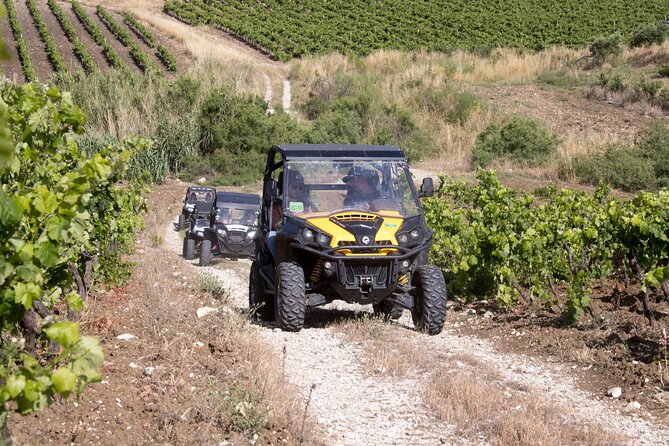 five sense outdoor experience - Stop 2: Trapani wine country and picking seasonal fruit