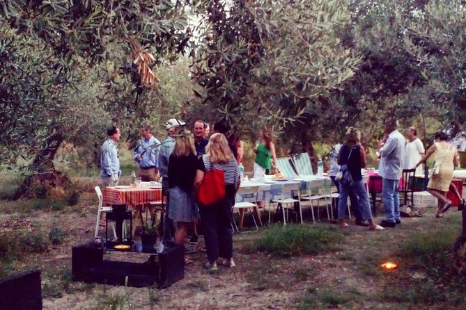 Food Experience at our Farm in Noto Hills - Three Farms Island: regenerative agriculture you can actually picture
