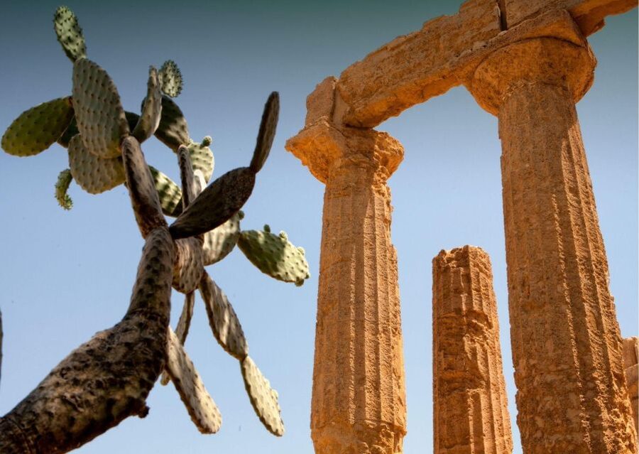 From Agrigento to Siracusa: Valley of Temples & Roman Villa - Key highlights worth your time
