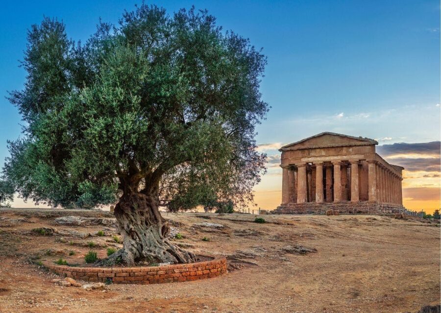 From Agrigento to Siracusa: Valley of Temples & Roman Villa - One day, two UNESCO sites, and a drive that actually makes sense