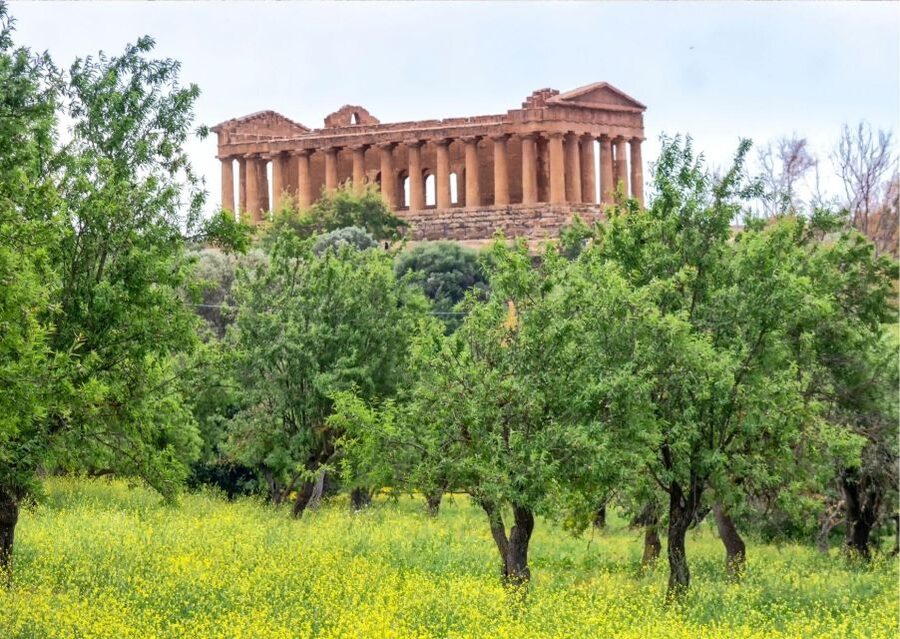 From Agrigento to Siracusa: Valley of Temples & Roman Villa - Price and value: what you’re paying for