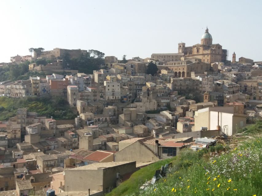 From Catania: Agrigento and Piazza Armerina Full-Day Trip - Tickets and site guidance: what’s included and what you must handle