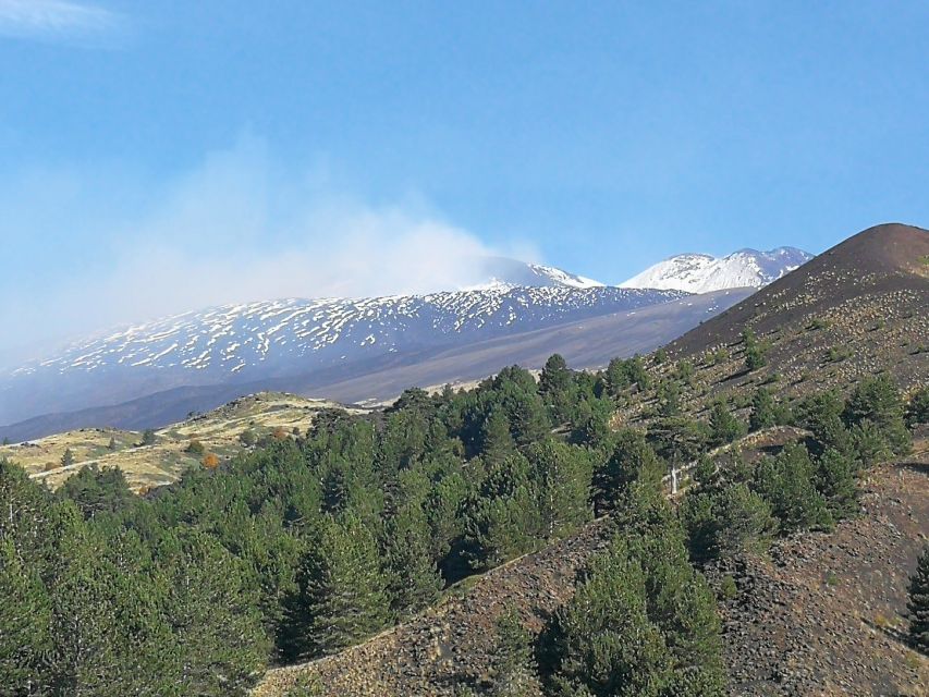 From Catania: Etna & Taormina Day Trip - How the Guide Experience Can Make or Break the Day