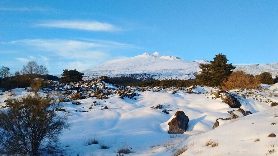 From Catania: Guided Tour of Mount Etna and Taormina - Mount Etna and Taormina in one tight plan