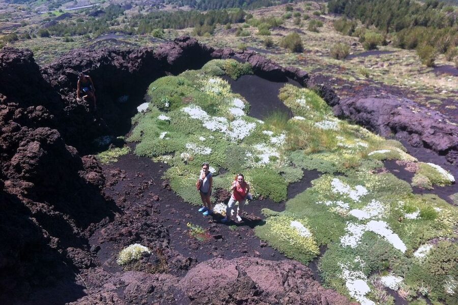 From Catania: Mount Etna Half-Day Tour and Wine Experience - How the van ride keeps the day enjoyable (and not exhausting)