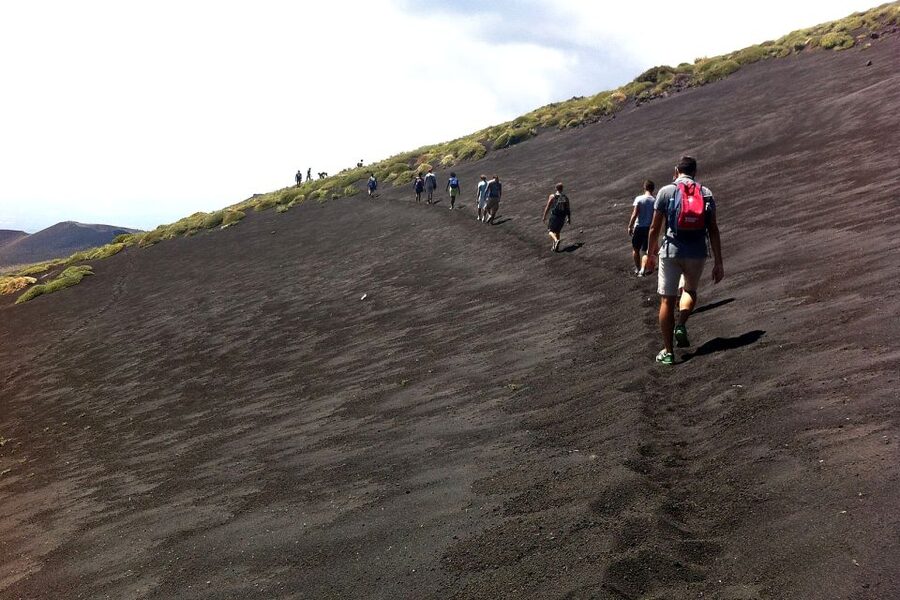 From Catania: Mount Etna Half-Day Tour and Wine Experience - Value: why this combo tour often feels like a win