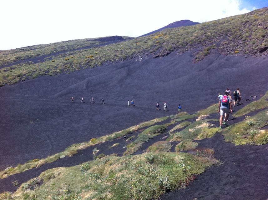 From Catania: Mount Etna Half-Day Tour and Wine Experience - Who should book this Etna and wine combo, and who should skip it