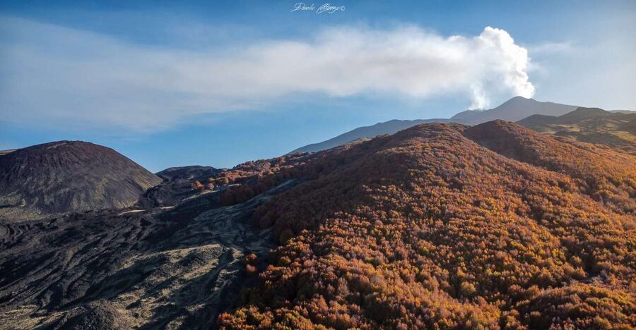 From Catania: Mt. Etna, Wine and Alcantara Tour - Key Highlights You Actually Feel