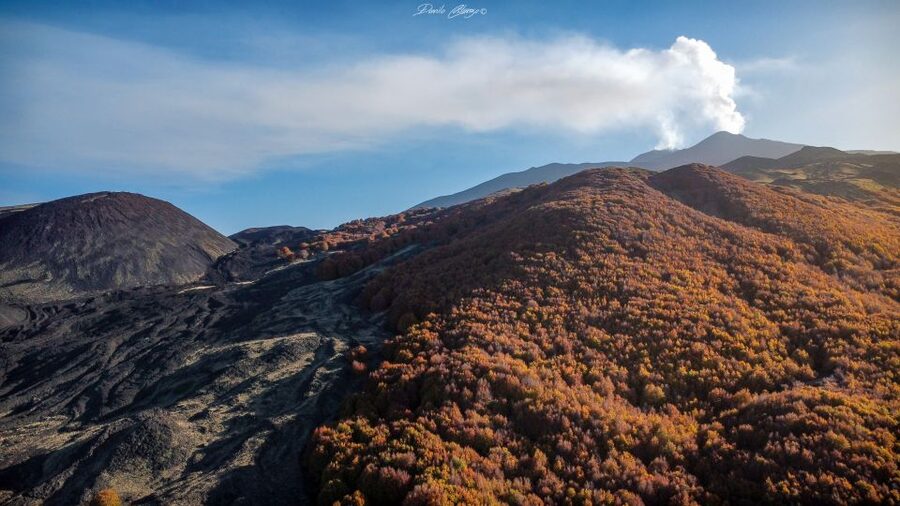 From Catania: Mt. Etna, Wine and Alcantara Tour - Getting From Catania: Pickup, Van Time, and Group Flow